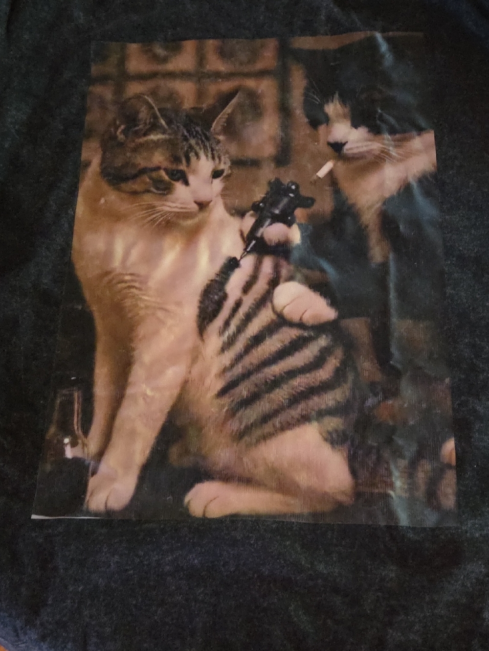 Cat Graphic Tee - Black Two Cats Design